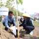 Gerakan Indonesia Asri, Kapolda Banten dan Bupati Serang Tanam 3000 Pohon