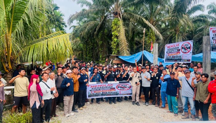 Ratusan Petani dan Koperasi di Kepenuhan Tolak Klaim Lahan oleh Pemegang KSO PT Kalingga 77